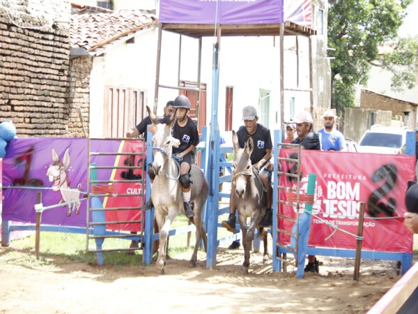 Corrida de Jegues de Bom Jesus chega a 61 anos de tradição e valorização da cultura nordestina